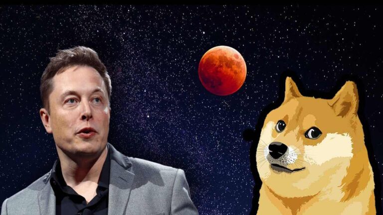 elon musk dogecoin