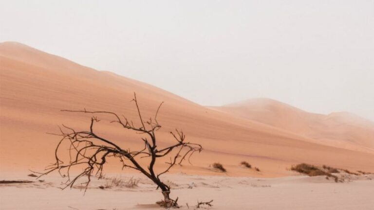 Küresel su krizini önleyebilecek 5 faydalı teknoloji