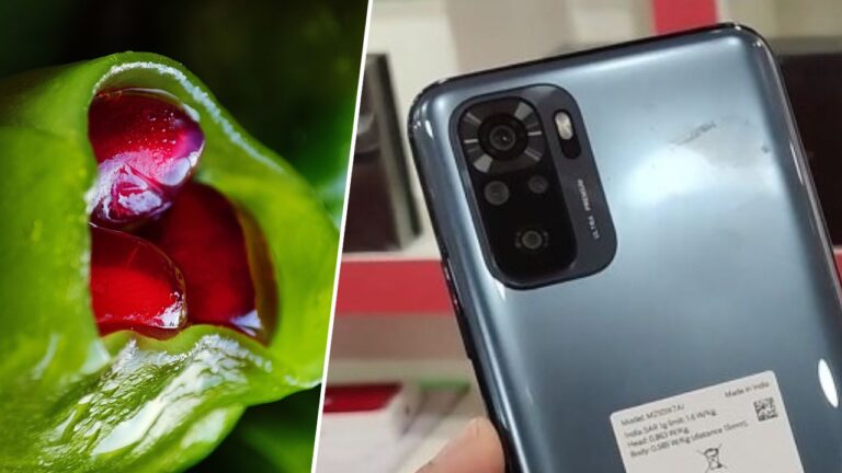 Adeta mikroskop: Redmi Note 10 Super Macro sızdırıldı