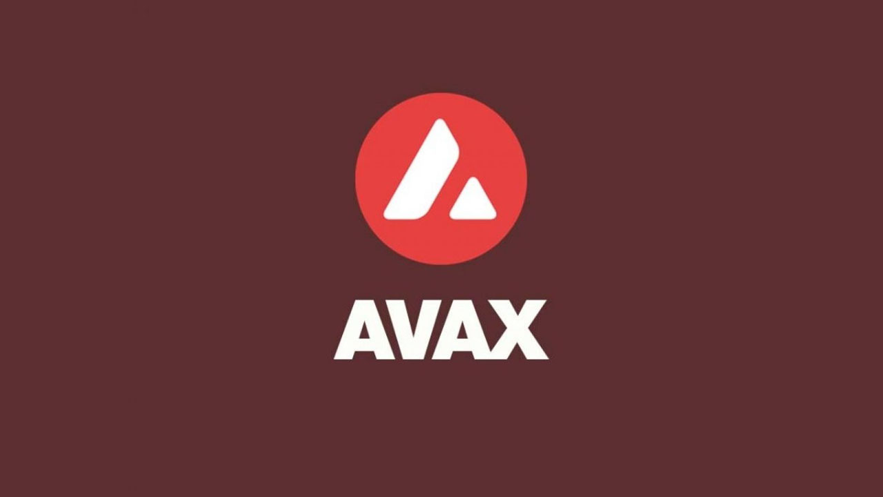 AVAX Coin nedir?