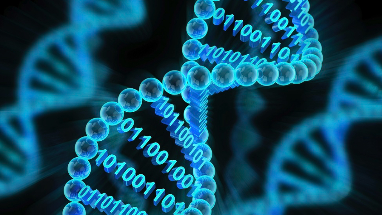 İnsan Genom Projesi’nde 20 yıl sonra kritik keşif