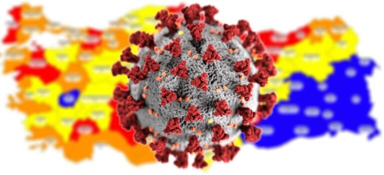 Fahrettin Koca illerin yeni virüs haritasını paylaştı