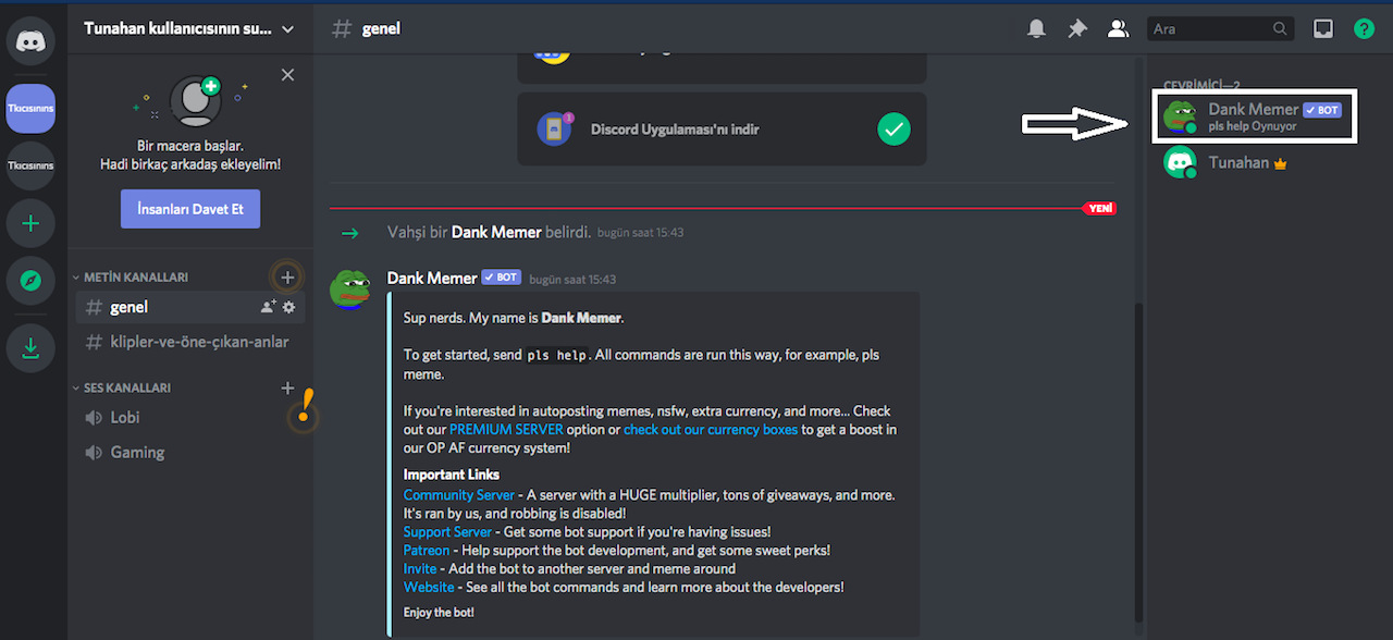 Discord bot ekleme nasıl yapılır? Müzik, mesaj silme botu ekleme SDN