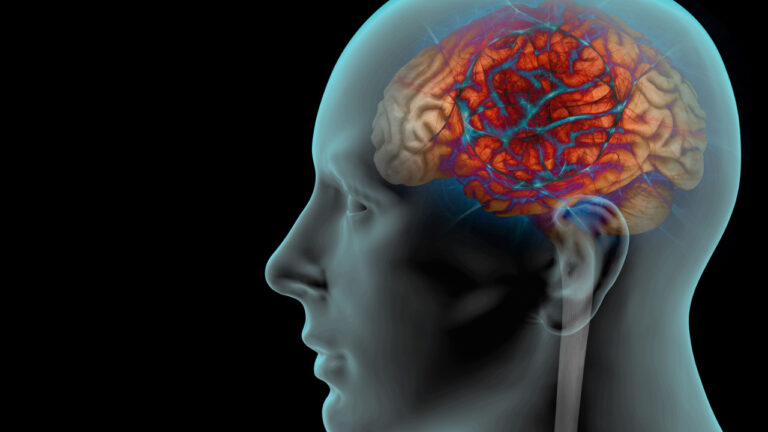 İnsanların neden büyük beyine sahip olduğu bulundu