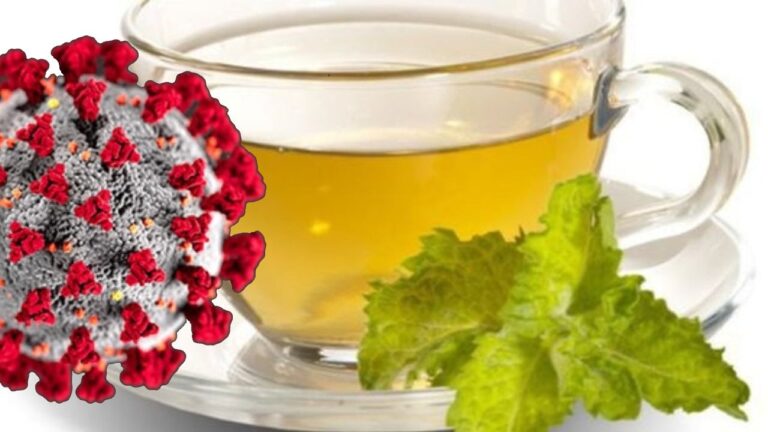 Yeşil çay, Covid-19 virüsünü engelliyor
