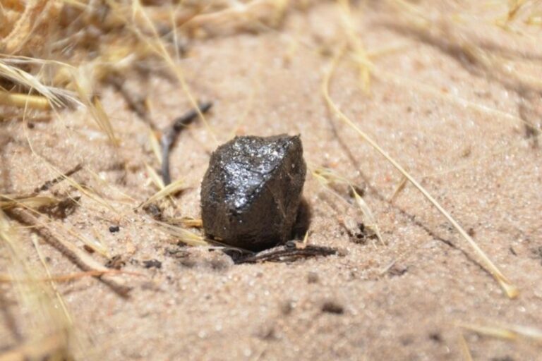Bir parçası Bingöl’e düşen göktaşının sırrı çözüldü