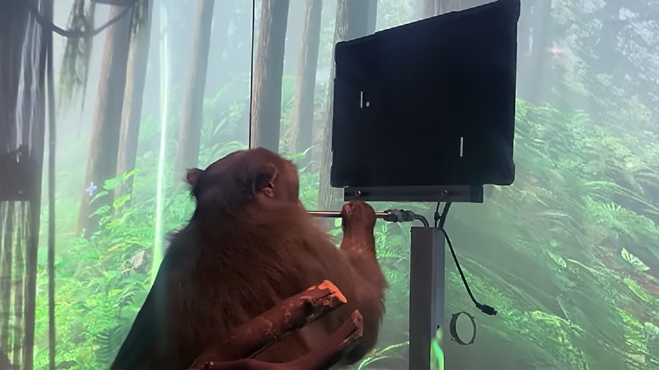 Elon Musk Neuralink zihin gücüyle pong oynayan maymun