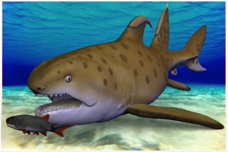 300 milyon yaşındaki Godzilla köpek balığına yeni isim