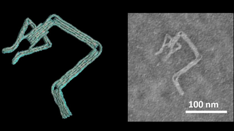 Saç telinden ince DNA robot yaptılar