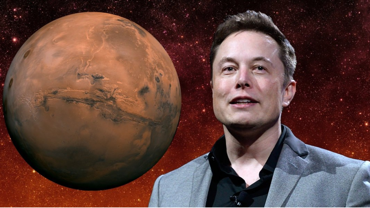 Elon Musk Kehaneti