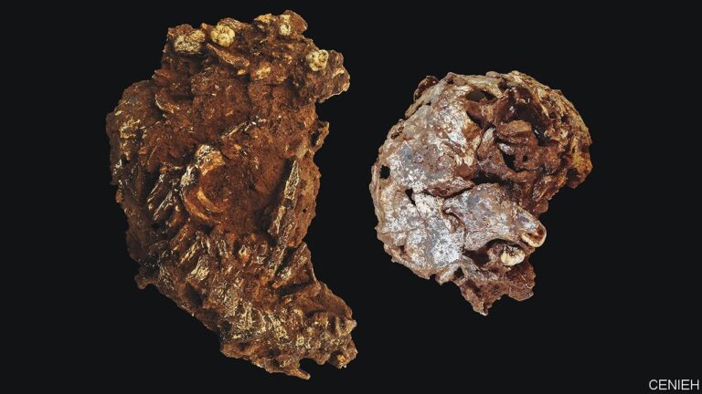 78 bin yıllık cenaze töreni keşfedildi