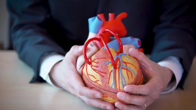 Bilim insanları laboratuvarda yapay insan kalbi geliştirdi