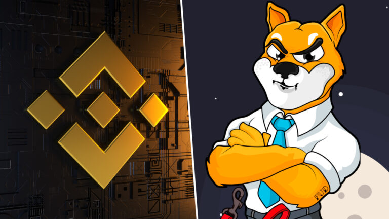 SHIBA INU değeri neden tavan yaptı? İşte son durum