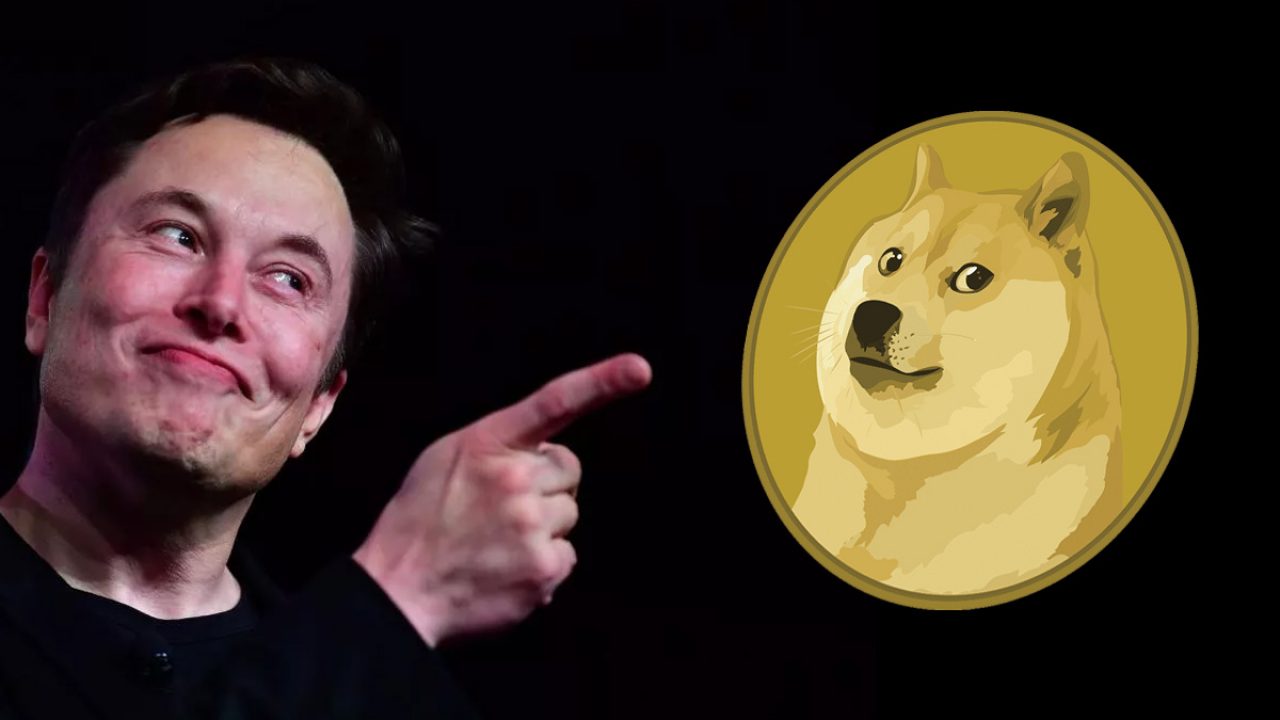 Elon Musk’tan yeni Tesla ve Dogecoin anketi