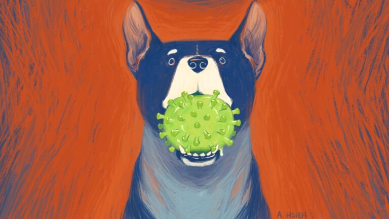 Malezya’da köpeklerden bulaşan yeni bir koronavirüs tespit edildi