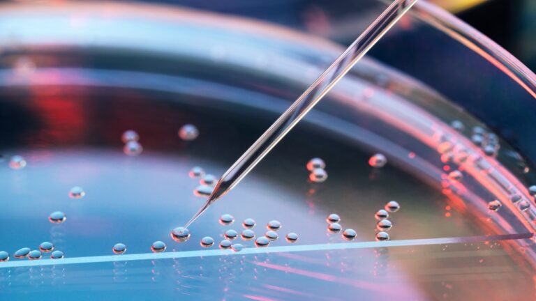 Önemli keşif: Kök hücreden insan embriyosu yapıldı