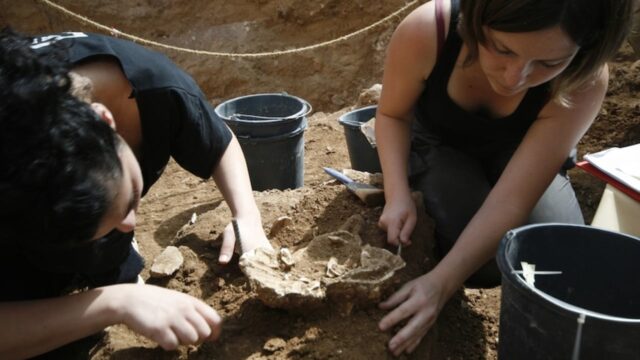 İsrail’de yeni antik insan türü keşfedildi