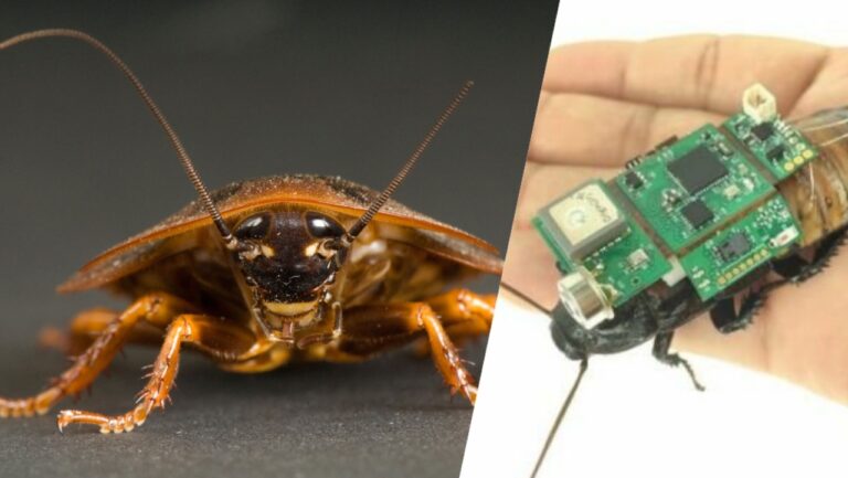 Afet sonrası arama-kurtarma için ilginç sistem