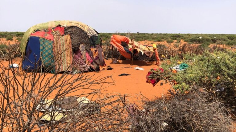 Dünya için yeni bir pandemi türü geliyor