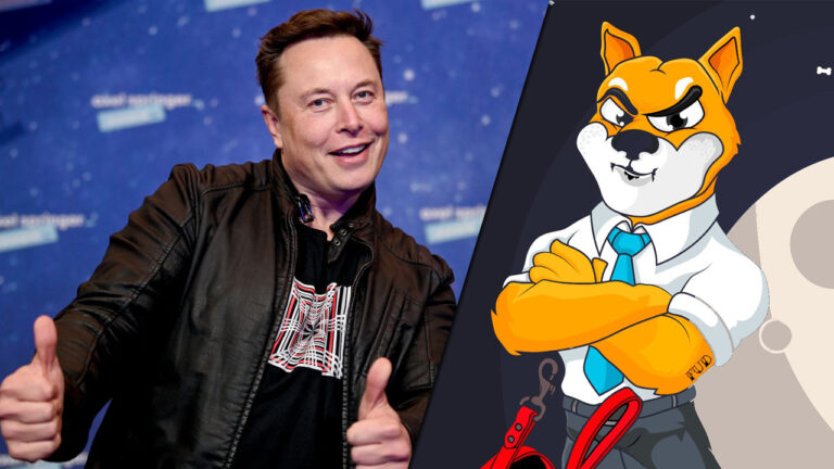 Elon Musk paylaştı, Shiba Inu hareketlendi