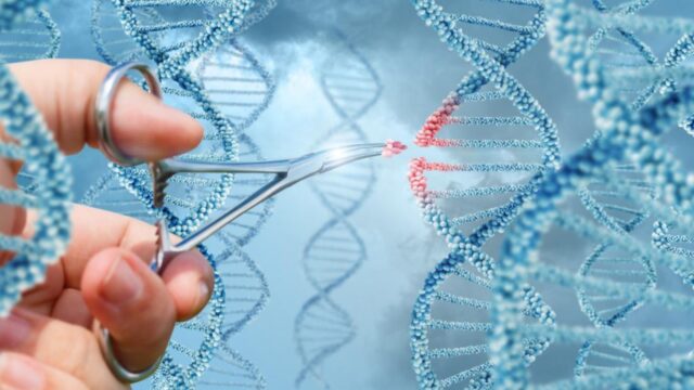 Genetik teknolojinin sıra dışı 10 kullanımı