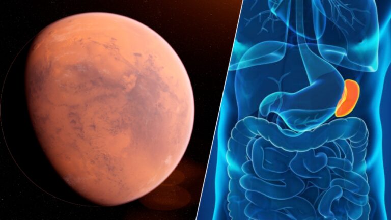 İnsanlı Mars uçuşları öncesinde dalak tartışması