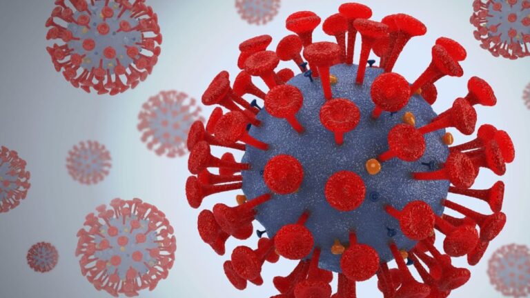 Sars-Cov-2’yi yüzde 100 ayırt eden test kiti geliştirildi