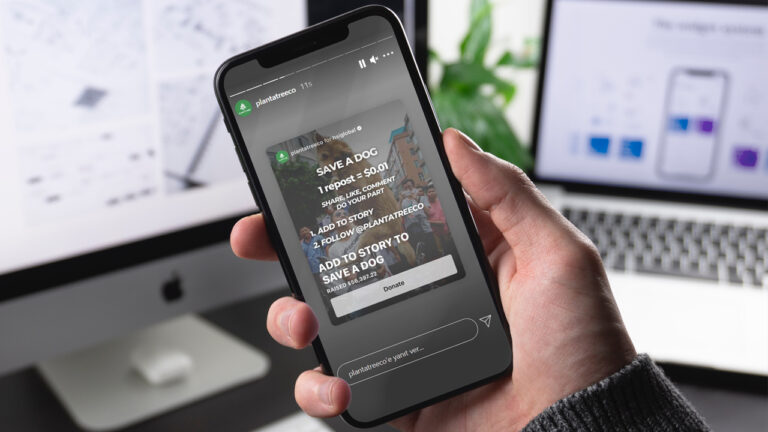 Save a Dog kampanyası ile tanınan PlantATreeCo güvenilir mi?