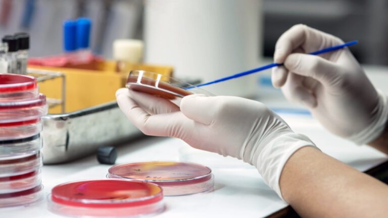 Bilinen en eski arkeabakteri keşfedildi: 3,42 milyar yıllık!