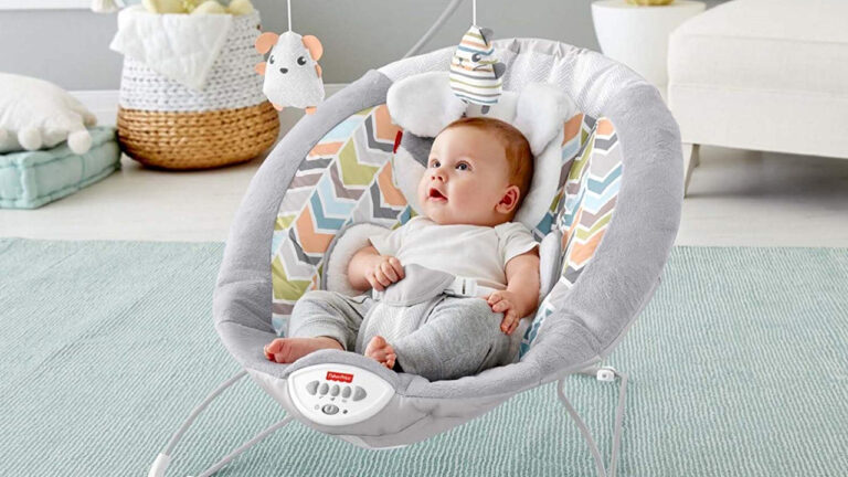 Satın alabileceğiniz en iyi otomatik ana kucağı modelleri