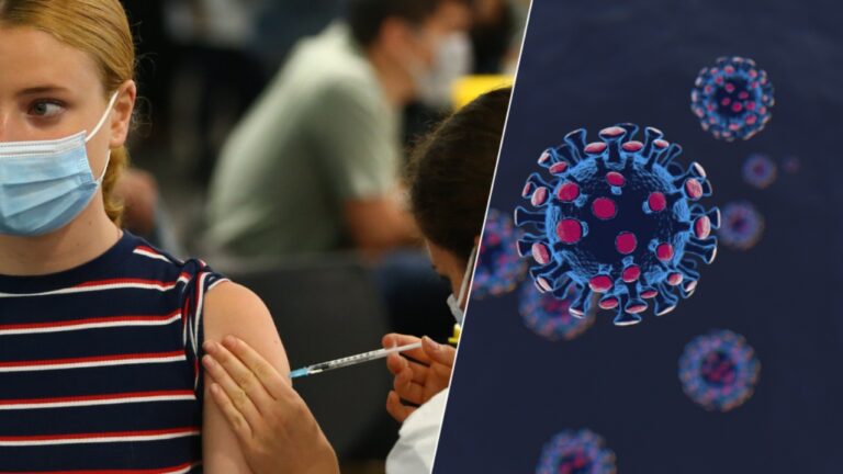 Delta plus mutasyonu ile delta varyantı farkları neler?