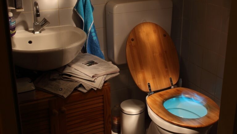 Dışkıyı sanal paraya dönüştüren tuvalet tasarlandı