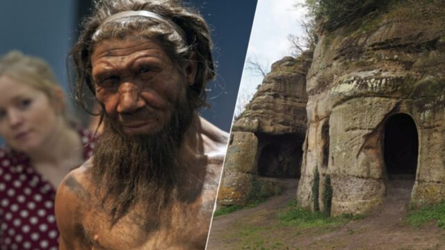 25 bin yıl önce yaşamış bir insan türü keşfedildi