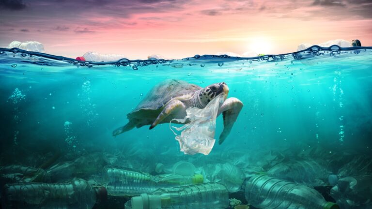 Bilim insanları plastik atıkları gıdaya dönüştürüyor