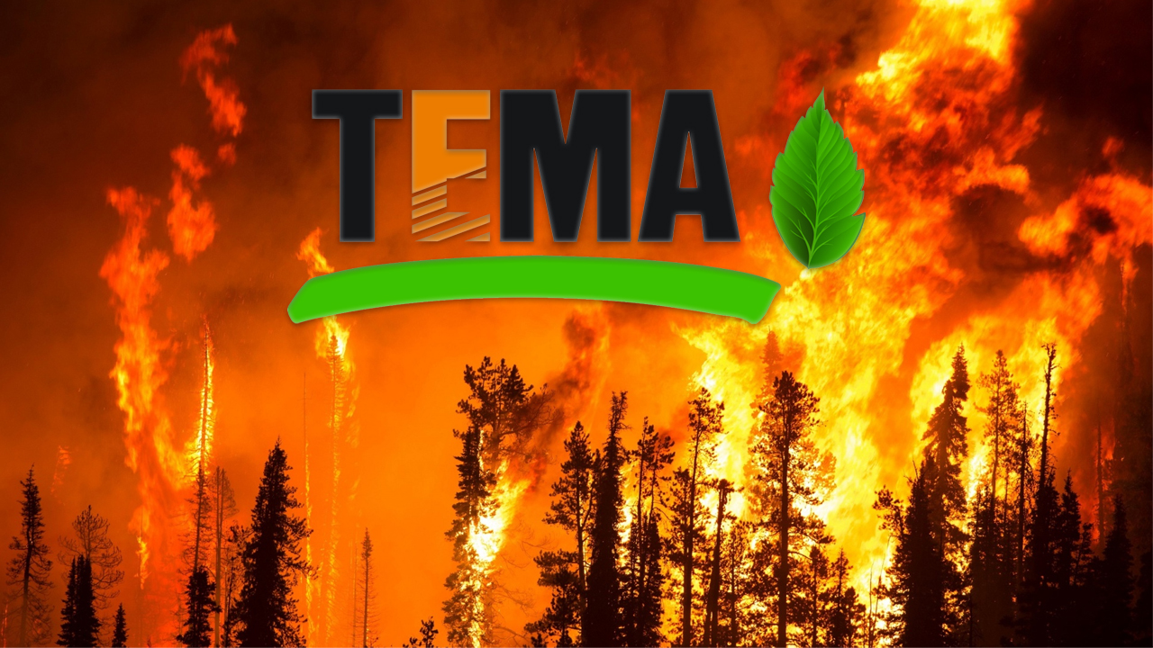 TEMA sitesi çöktü