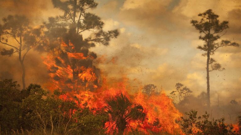 Türkiye’nin orman yangını söndürmede kullandığı teknolojiler