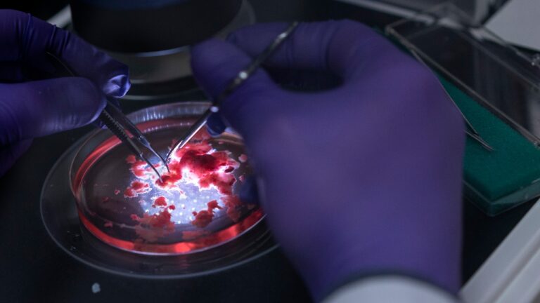 Kök hücre ile bir atılım daha: Göz yapıları geliştirildi