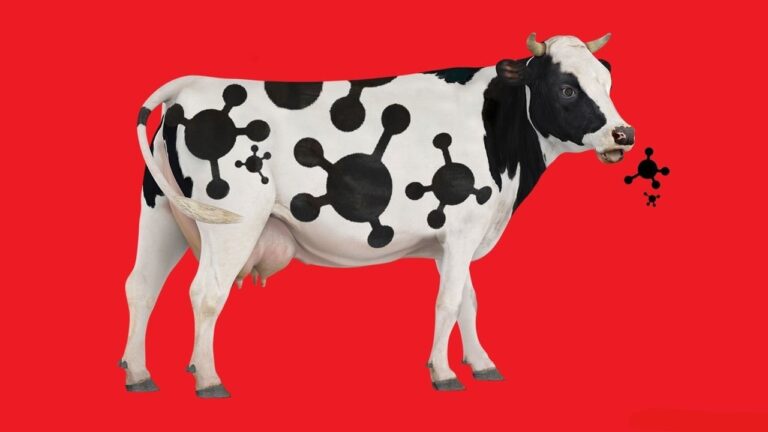 Metan gazı iklim değişikliğinde en büyük düşmanımız olabilir