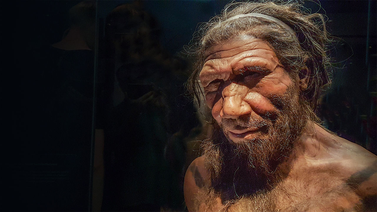 Neandertal ile modern insan çiftleşti mi?