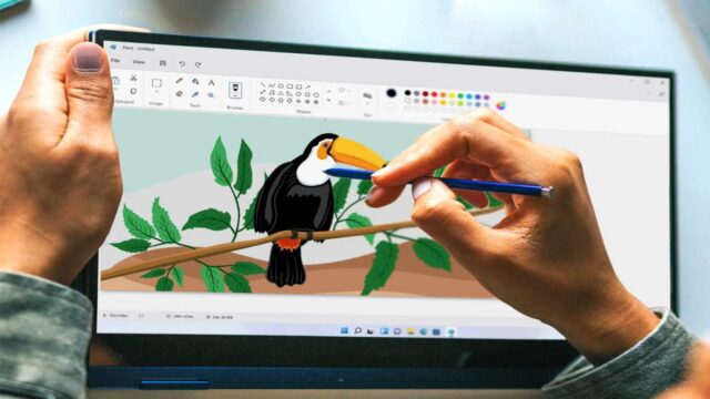 Windows 11’in Paint’i yenilenen tasarımıyla resmen tanıtıldı!