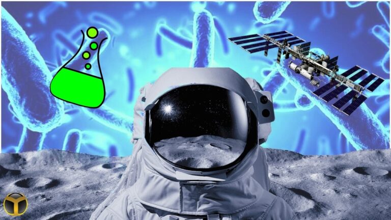 Mars’taki madencilerimiz bakteriler olacak!