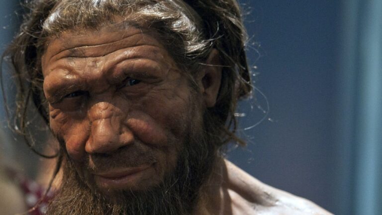 Çarpıcı keşif yayımlandı: Etiyopya’da yeni bir insan türü keşfedildi!