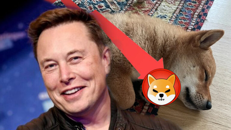 Elon Musk’ın favori kripto para birimi çöküşte