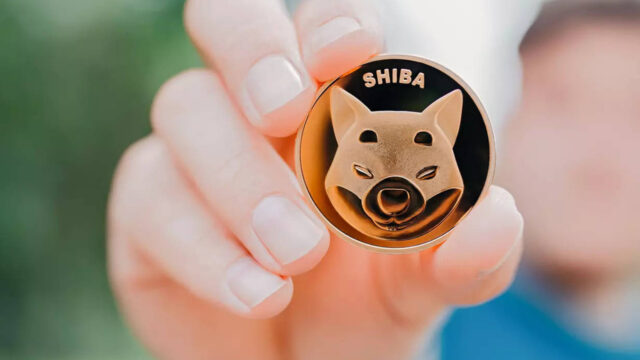 Shiba Inu ile restorana girmek artık mümkün!