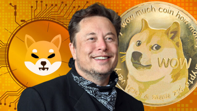 Elon Musk’tan SHIB karşıtlığına alaycı gülüş