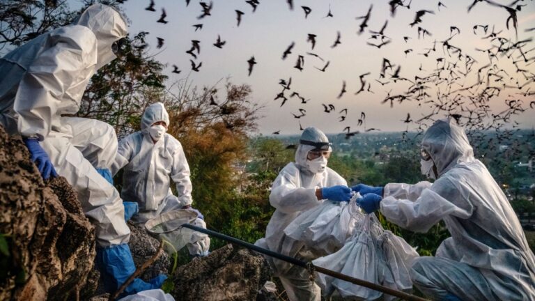 Bilim insanları uyardı: Bir sonraki pandeminin kaynağına dikkat!
