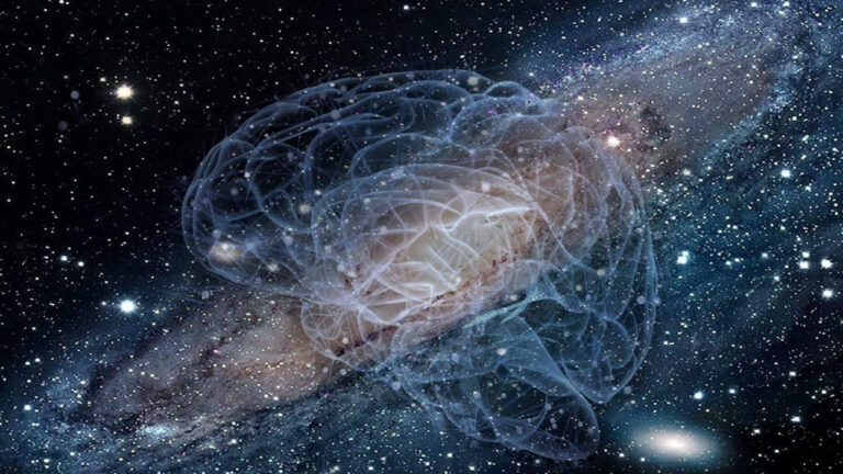 Fizik yasaları sil baştan! Evren yapay zekaya mı sahip?