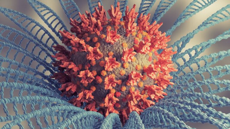 Dünya Sağlık Örgütü’nden korkutan açıklama: Kendinizi hazırlayın