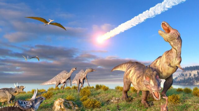 Bilim insanları, dinozorların yok olma nedenini tespit etti!