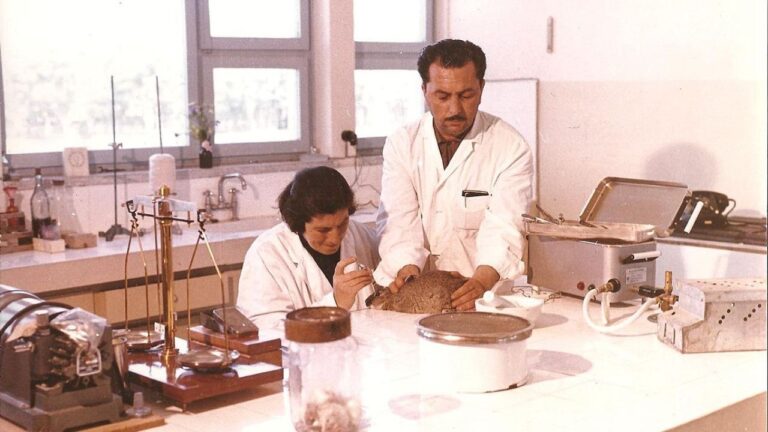 Google’dan Sabire Aydemir doodle’ı! Sabire Aydemir kimdir?